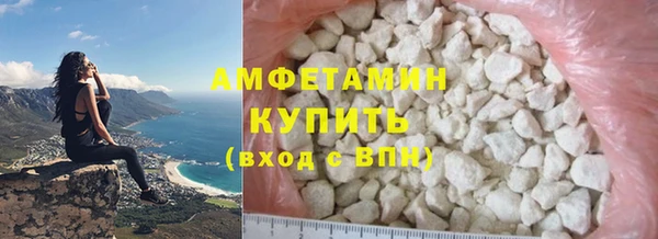 стаф Богданович